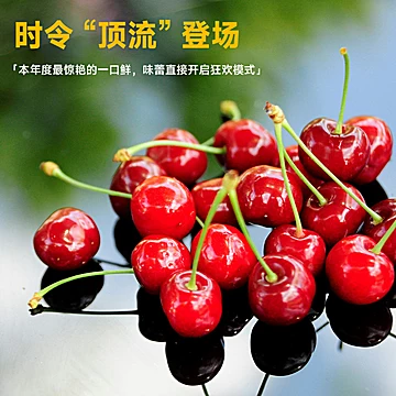 【欢鲜达】智利进口车厘子卡！3J净重5斤[80元优惠券]-寻折猪