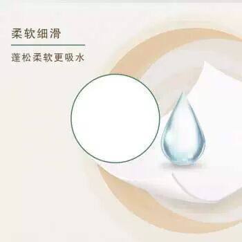 新款清风卷纸原木纯品240段12卷柔韧升级卫生纸卷筒纸纸巾卷纸 - 图2