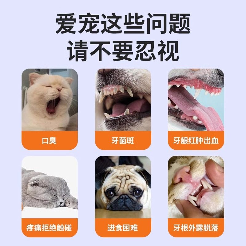 宠物洁牙笔牙刷笔牙膏一体猫狗口腔清洁结石除口臭狗狗猫咪刷牙用,淘宝优惠券,粉丝福利购,淘宝优惠卷