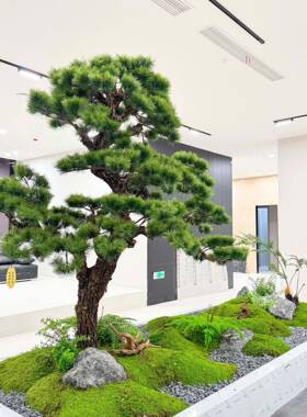 仿真黑松假树罗汉松新中式室内造景绿植景观橱窗楼梯造景迎客松