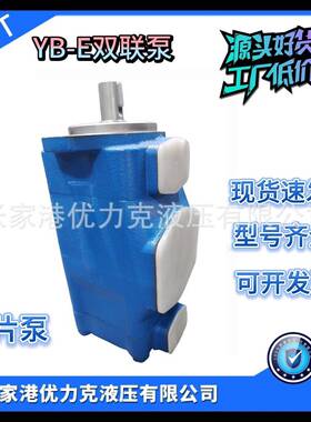YB-E80/40YB-E80/50YB-E80/63双联泵叶片泵定量泵定量叶片泵