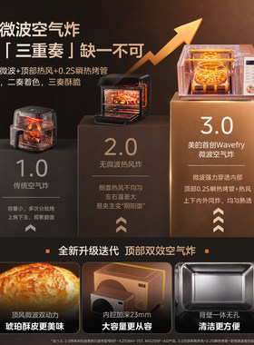 美的小滋味新品微烤炸炖一体G4