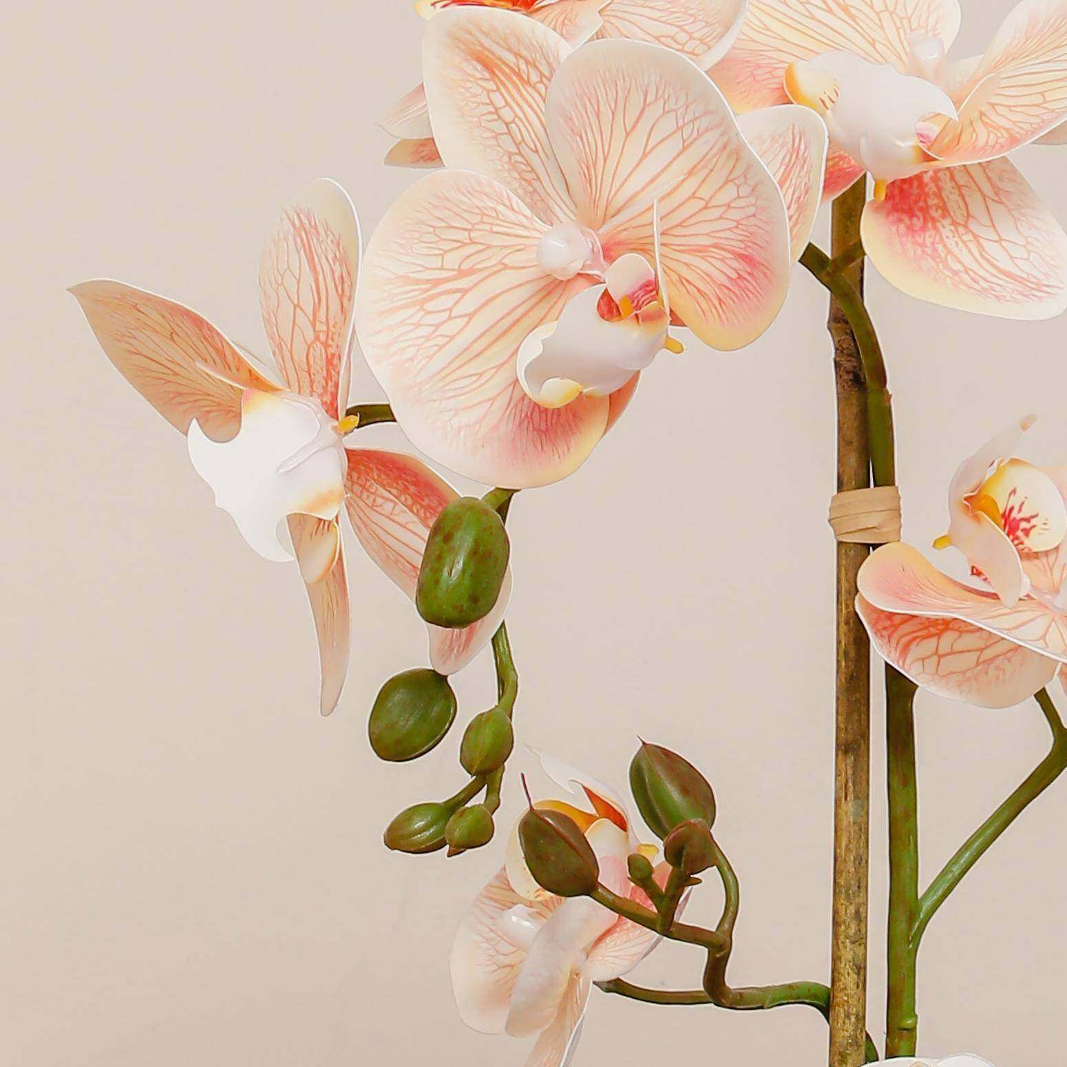 蝴蝶兰盆栽仿真花仿生花地摆花兰花含盆陶瓷盆四方款中国风,淘宝优惠券,粉丝福利购,淘宝优惠卷