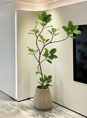 仿真植物孟加拉榕落n地盆栽室内大型仿生绿植摆件客厅轻奢装饰假