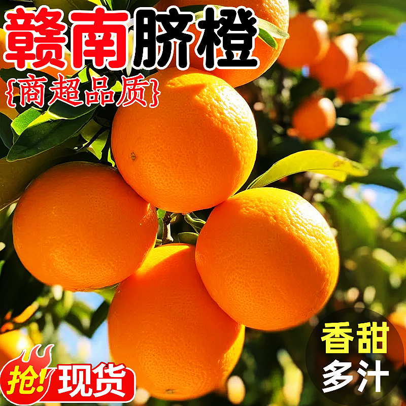 正宗赣南脐橙官方旗舰店新鲜大橙子当季水果江西赣州产地直发整箱