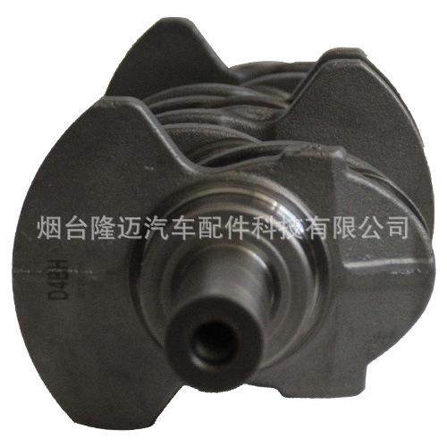 瑞风2.5RUIFENG2.5特拉卡TRAKA MD376961 HYD2.5T D4BH 4D56T曲轴 - 图2