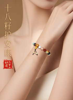 十八籽手串九华山好运旗舰店