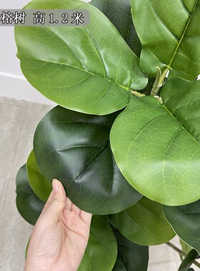 仿真绿植北欧风格仿真树带盆景观树仿真琴叶榕 客厅摆放绿色
