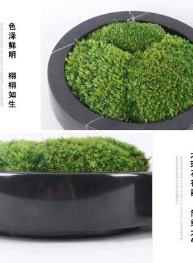 新中式仿真绿植永生青苔藓大理石花器小盆景茶几洽谈桌面植物花艺