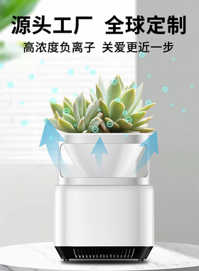 诺比克桌面多功能迷你家用办公室除烟除尘除异味负离子空气净化器
