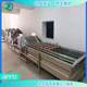 Tomato bubble cleaning machine Vegetable greening machine Egg processing complete equipment Mushroom deep processing machine
