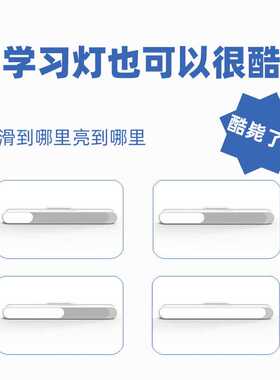 LED宿舍充电酷毙灯学习读书书桌化妆镜前触摸充插两用新奇
