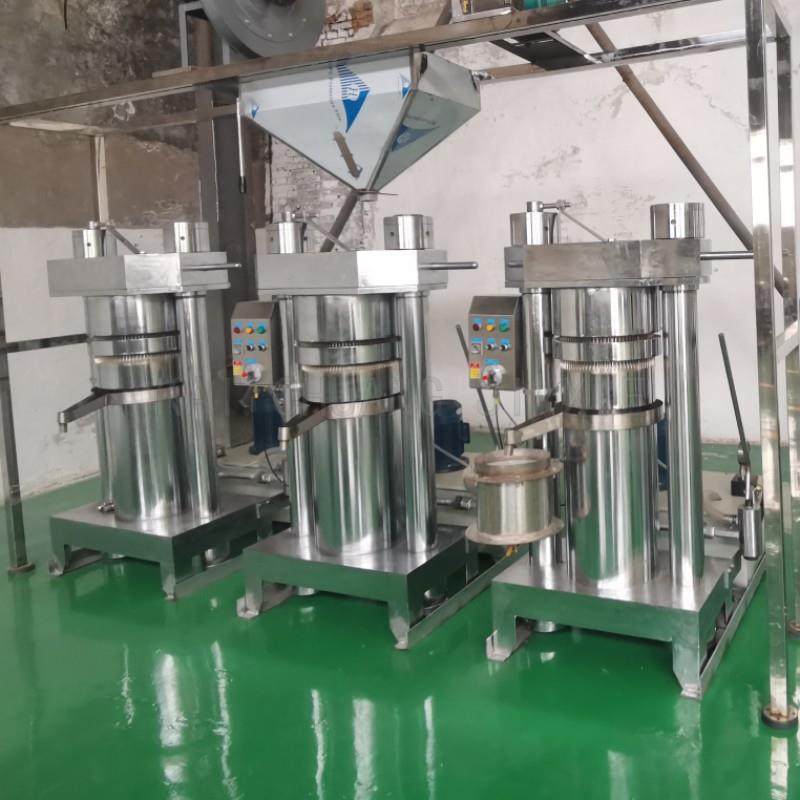 立式核桃仁美藤果压榨机油坊山茶籽花椒棉籽液压机 芝麻香油机,淘宝优惠券,粉丝福利购,淘宝优惠卷