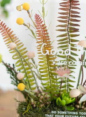 意菲 玄关家居摆l件洞洞板卧室转角绿植办公桌电视酒柜花软装