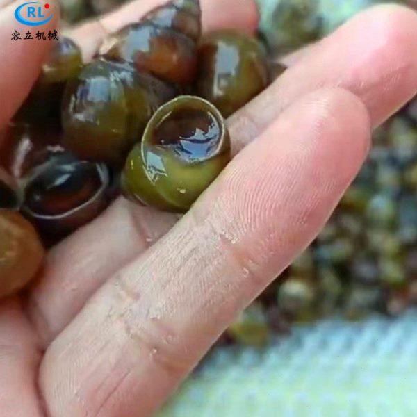 厂家供应牡蛎清洗机 辊刷式扇贝毛蛤去泥机 全自动田螺钉螺清洗机,淘宝优惠券,粉丝福利购,淘宝优惠卷