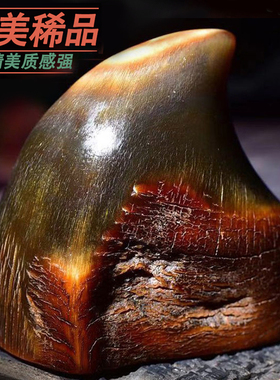【保真】披毛犀整角装饰品收摆件珍贵小藏精美手把角件角