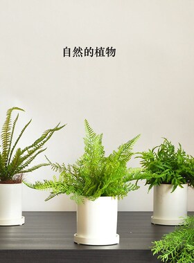 九思仿真栽物盆植白色陶瓷盆假绿植商用摆件仿生蕨类盆景art204