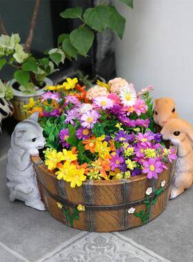 兔院阳台装饰布置猫绿萝铜钱草养鱼盆水培RLQ入户创意花庭花园摆