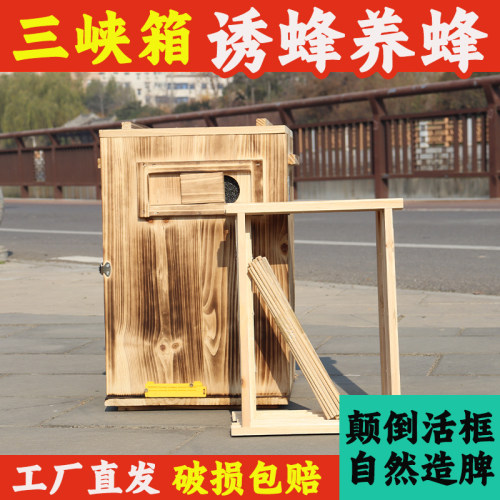 三峡活框蜂箱木质蜂蜜桶无需组装成品发货碳化烘干养蜂设备 - 图0