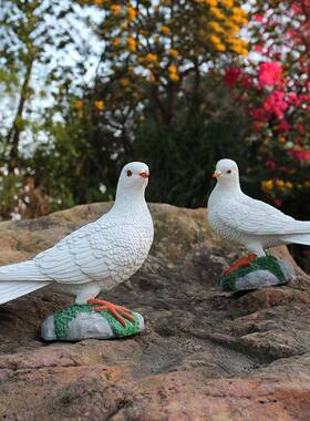 庭院仿创真鸽摄子件房顶意白鸽子鸽模摆型草坪装饰品假鸟雕塑拍道