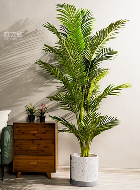 大型仿真凤尾葵凤尾竹散尾葵假树室内客厅落地绿植物盆栽装饰摆件