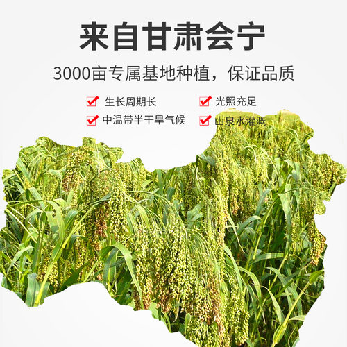 鹦鹉饲料鸟粮混合粮食小太阳玄凤虎皮牡丹营养鸟料鸟食五色黍子5 - 图1