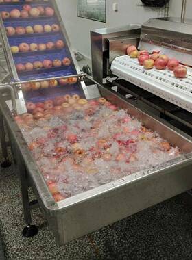 全自动果蔬清洗设备厂家定制品质保证