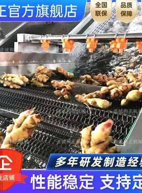 豆角清洗机果蔬清洗机多功能喷淋清洗机毛辊清洗机净菜清洗机