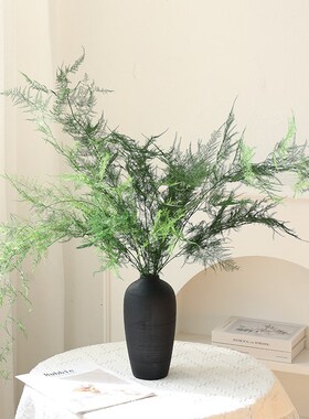 天然文竹干花花束客厅摆设永生花高级感真花中式插花装饰拍照道具