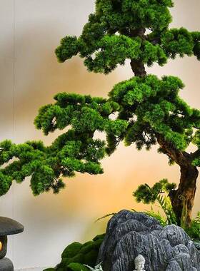 内禅意假山石景观造景楼梯下旱迎客盆景松枯山水F97JS58H装饰摆件