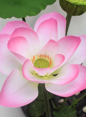 仿真荷花水池装饰花水缸摆件假花大鱼缸摆放花酒店鱼池用花