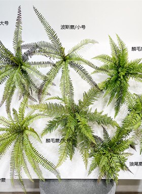 仿真蕨草叶把束假绿植室内原始森林系阳台庭院苔藓墙造景装饰布置