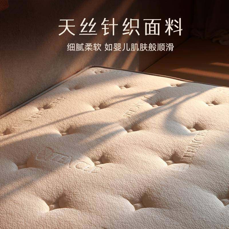 租房民宿家用弹簧床垫硬垫护脊护腰环保椰棕床垫20cm厚,淘宝优惠券,粉丝福利购,淘宝优惠卷