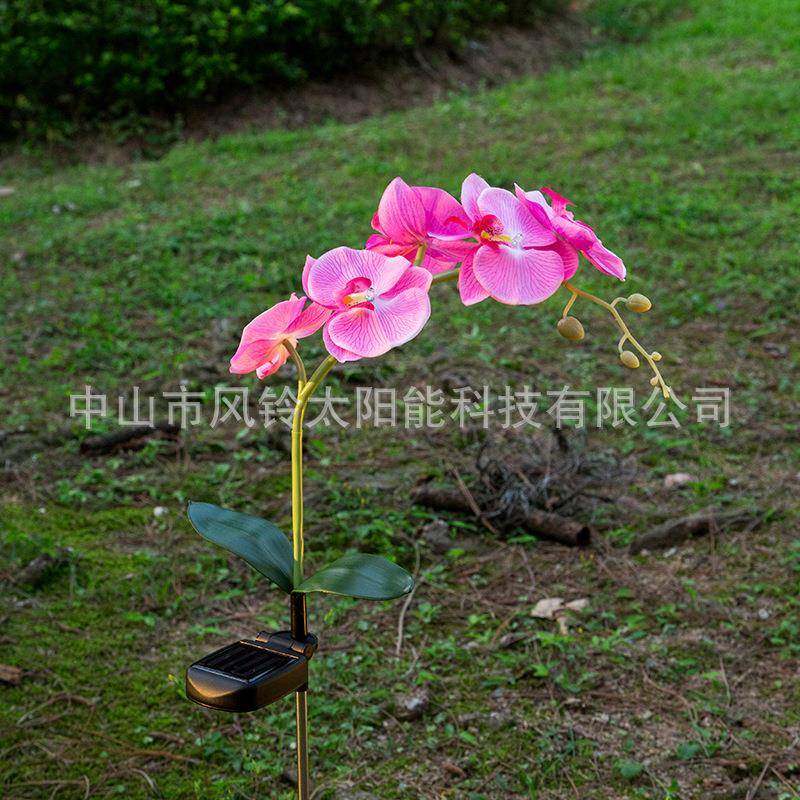 太阳能5LED蝴蝶兰花灯LED兰花紫色粉红白色兰花灯仿真花园草坪灯,淘宝优惠券,粉丝福利购,淘宝优惠卷