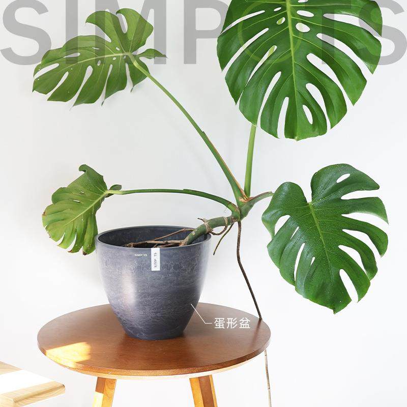 SIMPOTS树脂黑胶花盆轻奢高级感绿植花盆北欧室内环保轻便耐用,淘宝优惠券,粉丝福利购,淘宝优惠卷