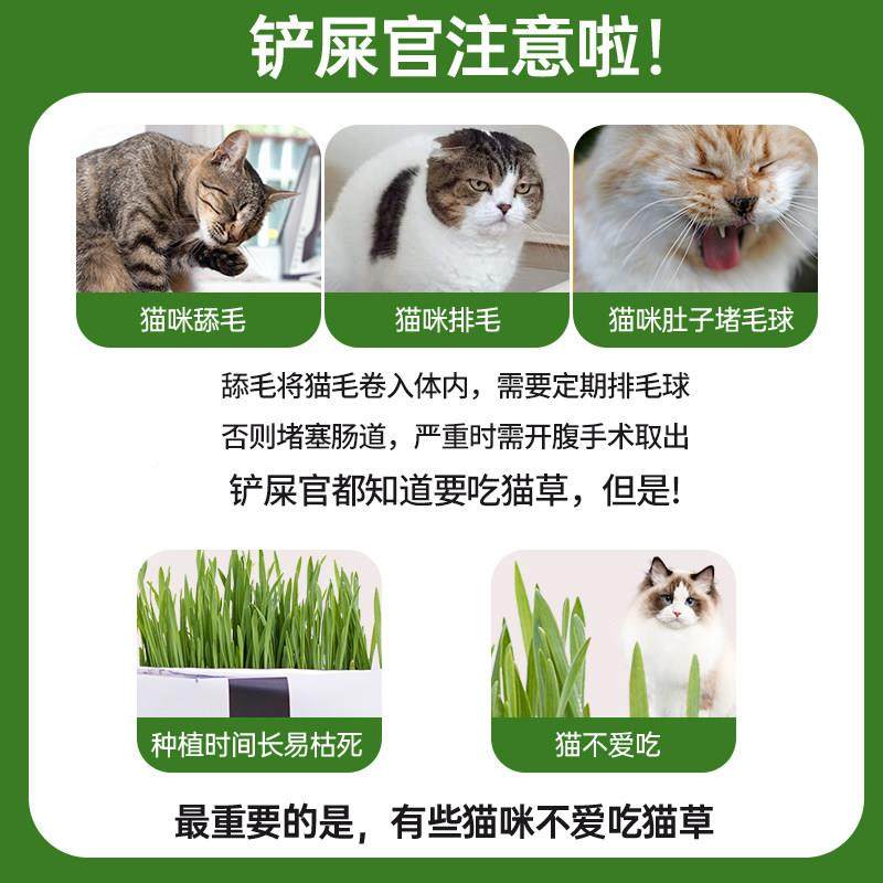 猫草干 干去毛片SKK猫咪饼零食小鱼球干 干薄猫草粒幼猫磨牙猫草,淘宝优惠券,粉丝福利购,淘宝优惠卷