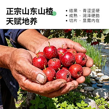 【千康世佳】新货山楂干[10元优惠券]-寻折猪