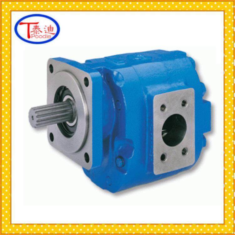 P124-G25182ID-54G齿轮泵高压齿轮油泵,淘宝优惠券,粉丝福利购,淘宝优惠卷