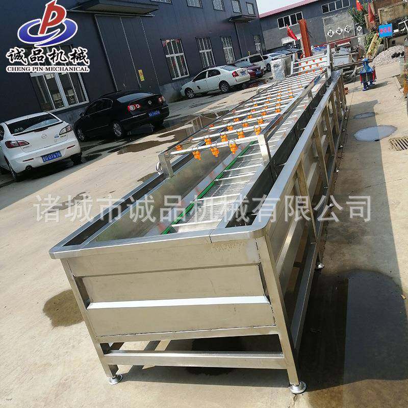 商用西红柿果蔬气泡清洗机黄瓜芸豆清洗设备生菜芹菜气泡清洗机,淘宝优惠券,粉丝福利购,淘宝优惠卷