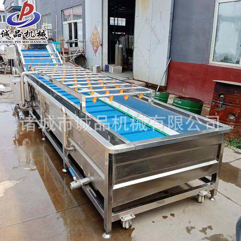 商用西红柿果蔬气泡清洗机黄瓜芸豆清洗设备生菜芹菜气泡清洗机,淘宝优惠券,粉丝福利购,淘宝优惠卷