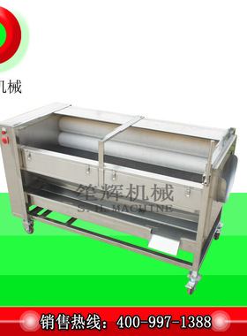 商用气泡果蔬清洗机洗姜机