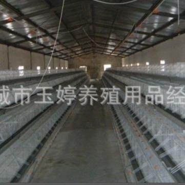 蛋鸡笼厂家镀锌养殖蛋鸡笼层叠式阶梯式鸡笼全自动养殖场,淘宝优惠券,粉丝福利购,淘宝优惠卷