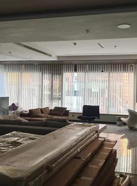 现代简约电动梦幻窗帘纱帘透光不透人客厅阳台手动梦幻帘垂直帘