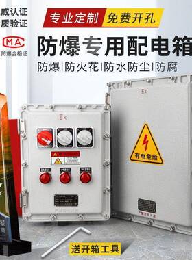 防爆配电箱电箱空箱接线箱控制箱检修箱防爆照明配电箱直销免
