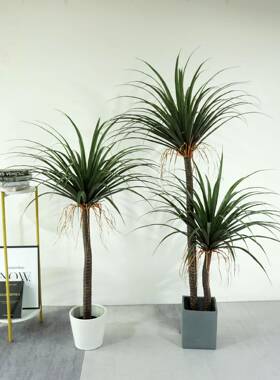 大型北欧仿真绿植仿真龙血铁树客厅落地盆栽仿生植物装饰摆件假树