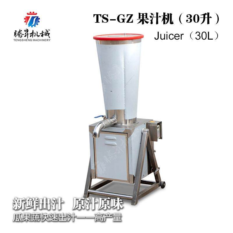 直销大型西瓜榨汁机商用机工厂用果蔬胡萝卜西红柿榨汁机,淘宝优惠券,粉丝福利购,淘宝优惠卷