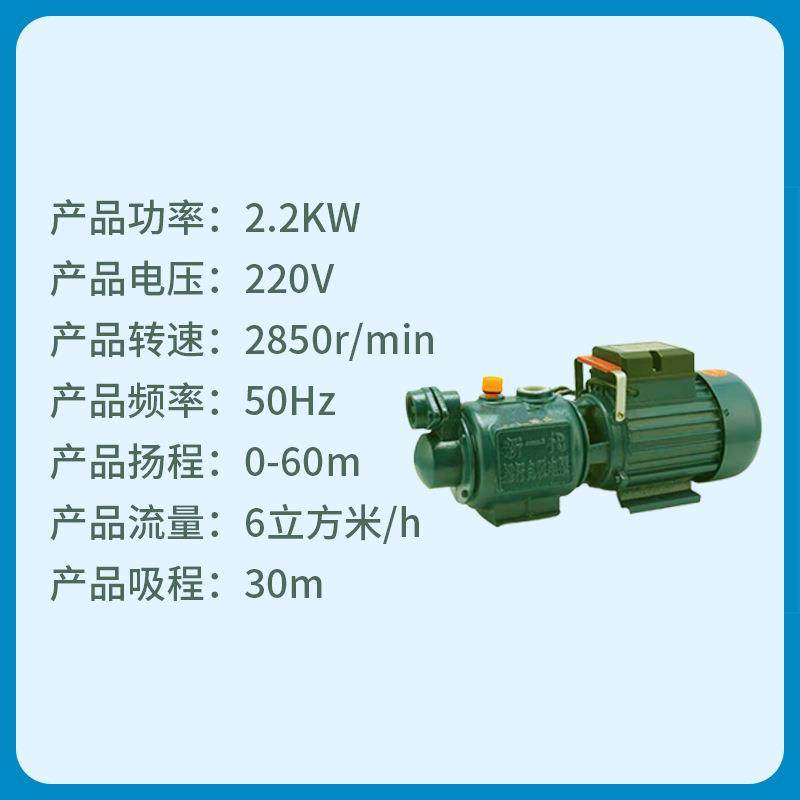 螺杆自吸泵家用220V高扬程抽水泵深井自来水增压泵高扬程抽水泵,淘宝优惠券,粉丝福利购,淘宝优惠卷