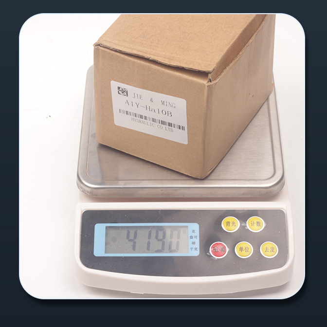 液控单向阀A1Y-Ha10B AIY-Ha20L A1Y-Hb20L - 图1