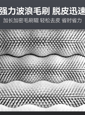 猛世全自动去皮机商用毛刷式清洗脱皮机 生姜果蔬马铃薯番薯