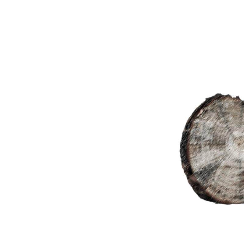 佳普进口油锯汽油锯伐木锯大马力四冲程锯树锯子砍树链锯锯木,淘宝优惠券,粉丝福利购,淘宝优惠卷